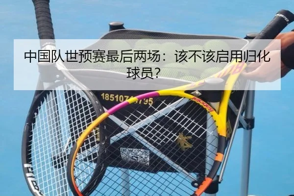 中国队世预赛最后两场：该不该启用归化球员？